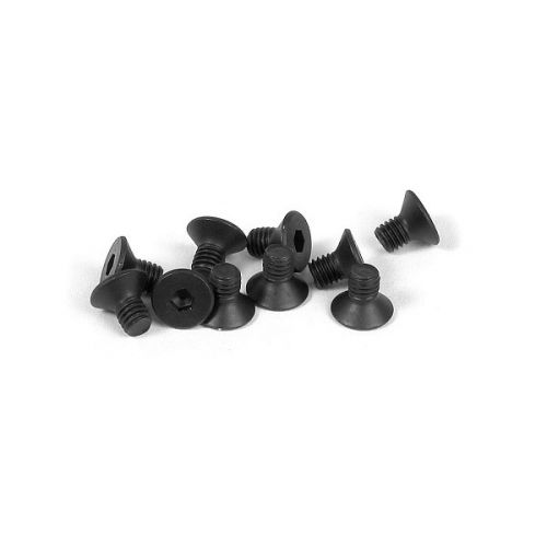 CAPRICORN LAB CAP-17038 FLAT HEAD SCREW 3X5 (10pcs)