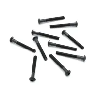 CAPRICORN LAB CAP-17140 SCREW 3x25 ROUND HEAD (10 PCS) (17140)