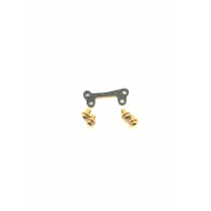 CAPRICORN LAB CAP-29310-K TE04 REAR CARBON CROSS PLATE (29310-K)
