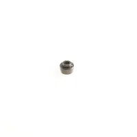CAPRICORN LAB CAP-3169 Lab GT2 CLUTCH BUSHING (3169)