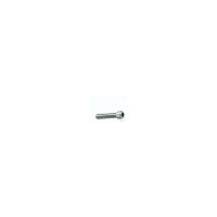 CAP-17021-10 SCREW 2.5X10 (10pcs)