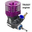 Motori A Scoppio Off Road Truggy
